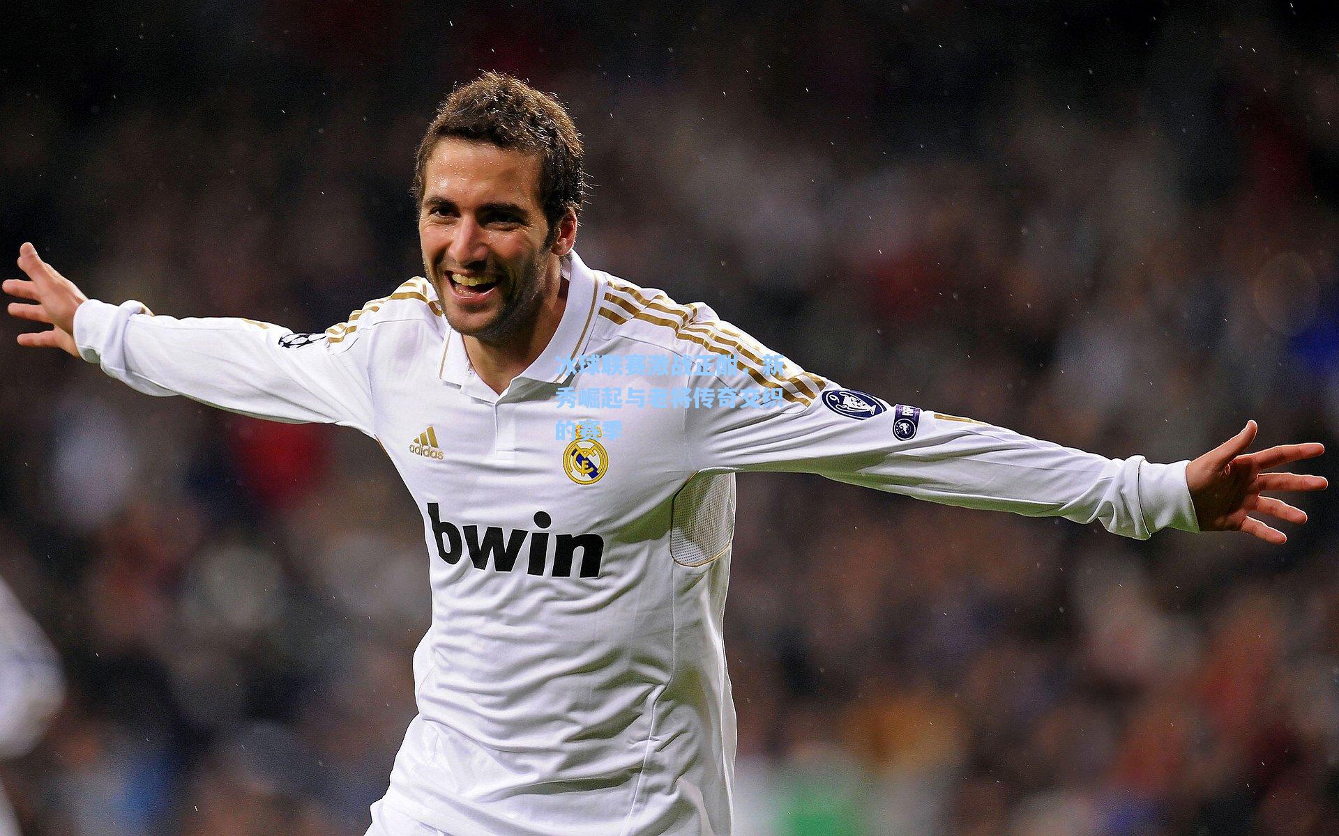 冰球联赛激战正酣，新秀崛起与老将传奇交织的赛季