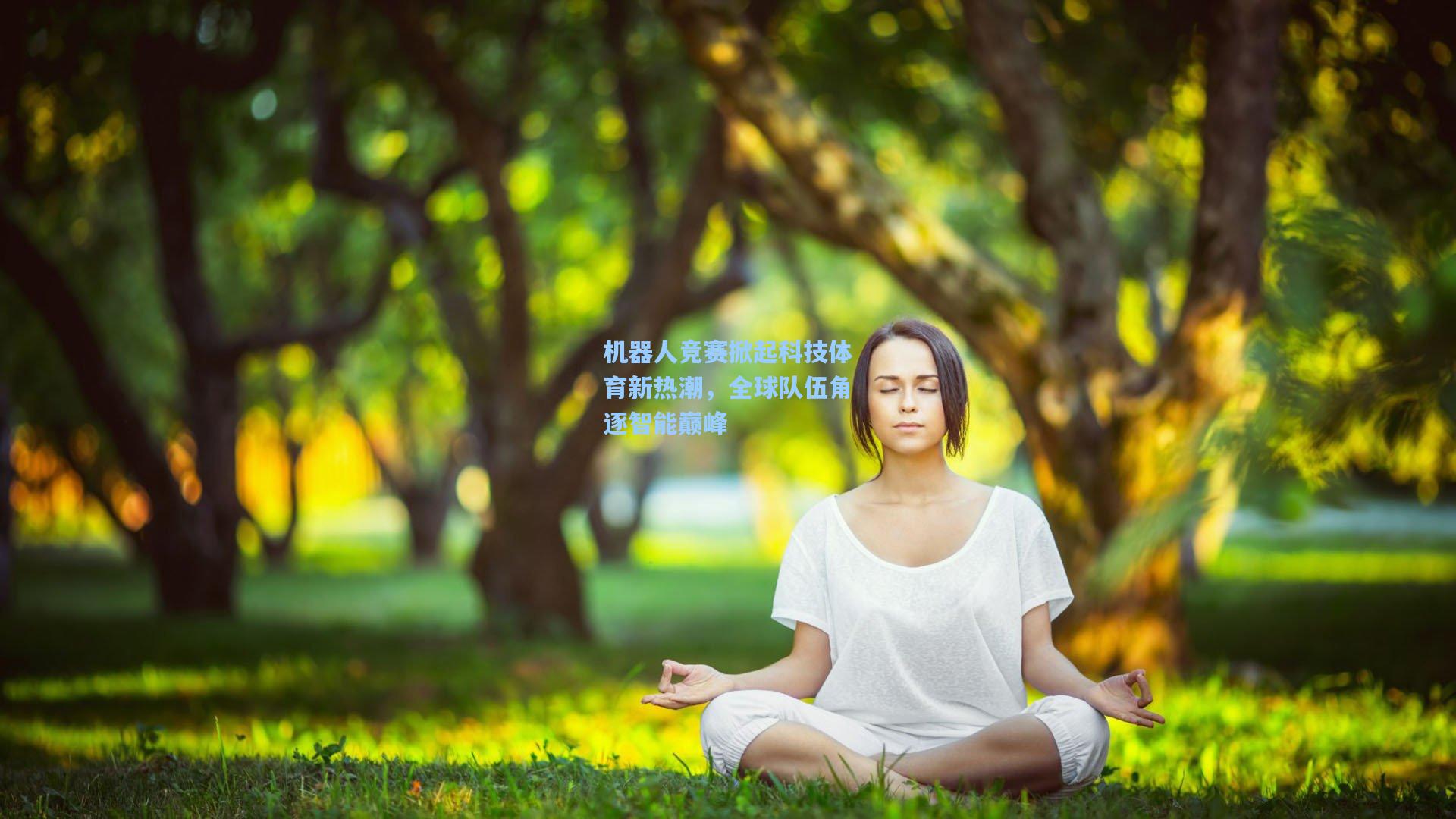 机器人竞赛掀起科技体育新热潮，全球队伍角逐智能巅峰